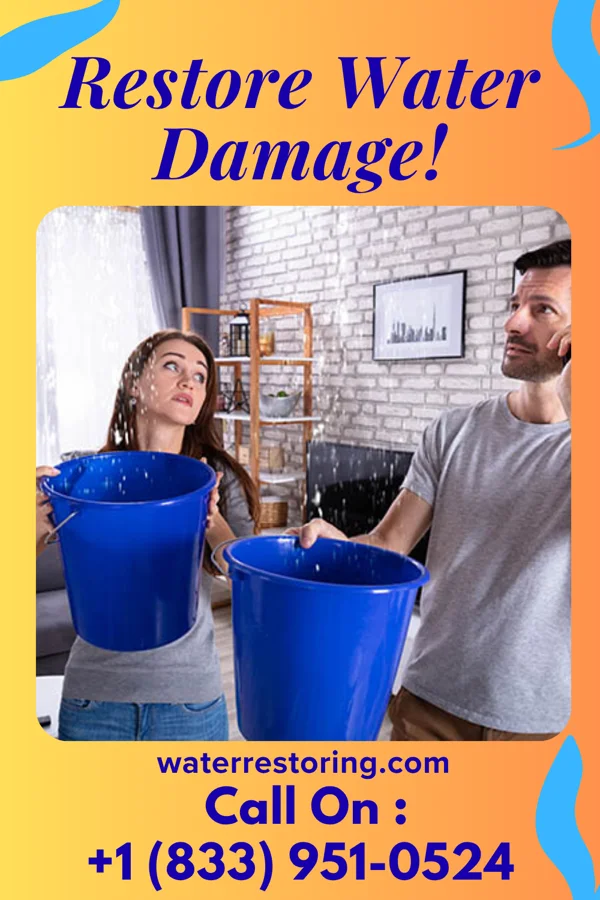 water restoration Patriot Storm Damage LLC Hartrandt