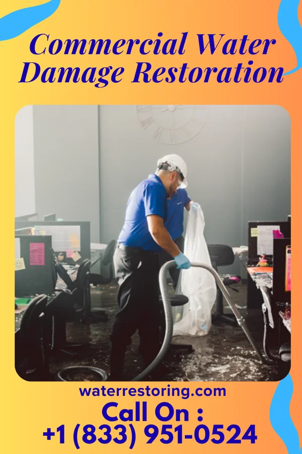 Commercial Water Damage Restoration in Hartrandt, WY
