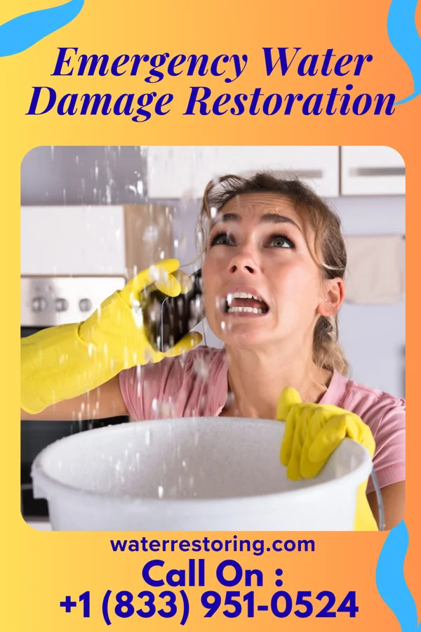 Emergency Water Damage Restoration in Hartrandt, WY