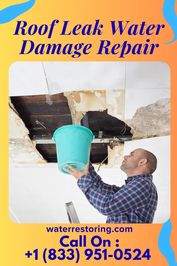 Roof Leak Water Damage Repair in Hartrandt, WY