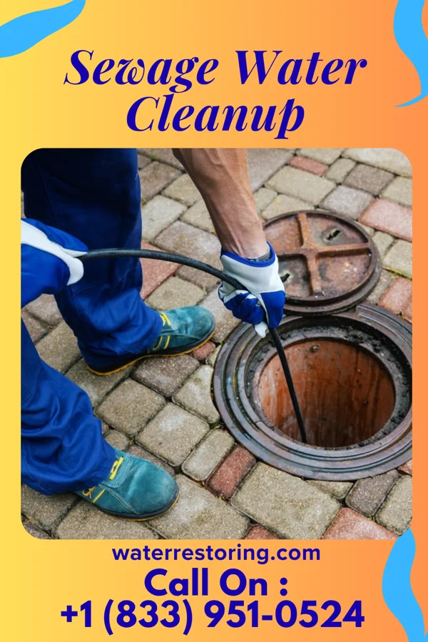 Sewage Water Cleanup in Hartrandt, WY